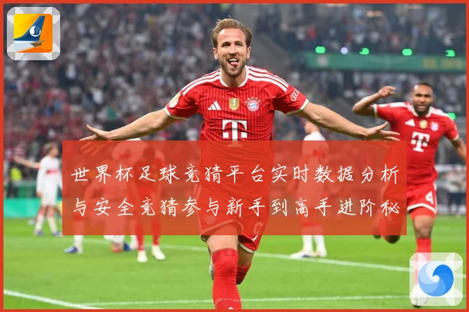 世界杯足球竞猜平台实时数据分析与安全竞猜参与新手到高手进阶秘数据研判