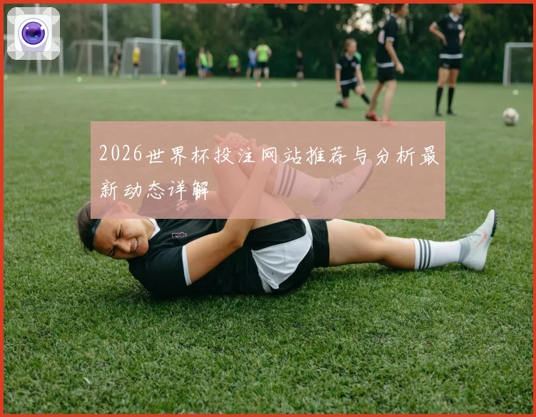 2026世界杯投注网站推荐与分析最新动态详解