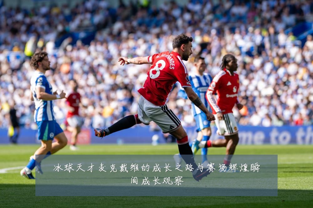 冰球天才麦克戴维的成长之路与赛场辉煌瞬间成长观察